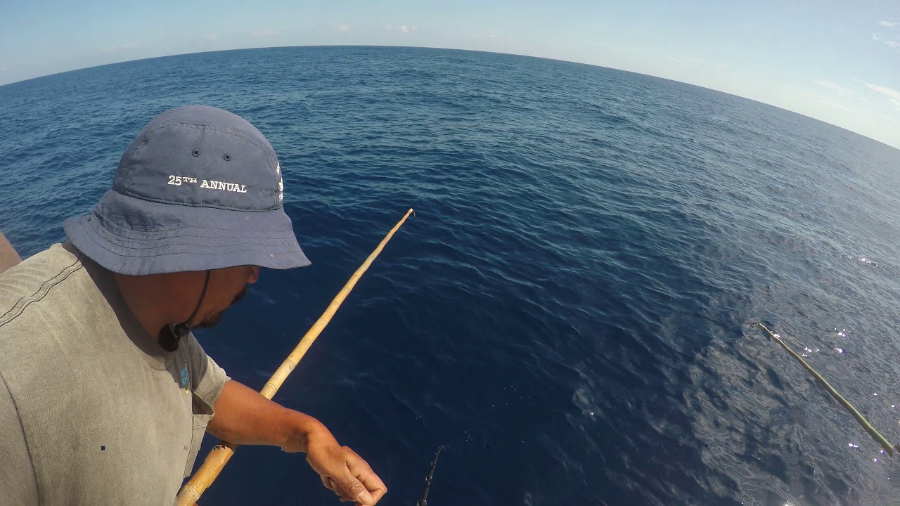 Royal Polaris Sportfishing: Hi's Tackle 10 days 2018  Wahoo on live bait with 32 lbs wire 10/28