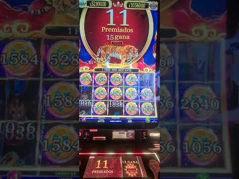 How to play Samba slot game || Jili Games || short term profit || Play games and earn money 💰