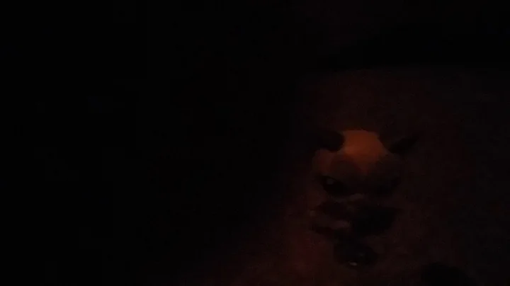 August 4, 2017