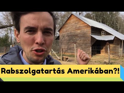 Videó: Az Amerikai Lány Kiadott Egy Fekete Baba Detroitból