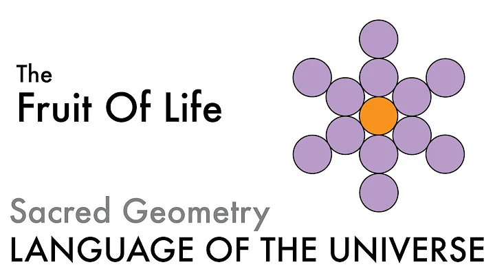 성스러운 기하학: 열매의 생명