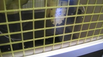 Automated Carbide End Mill Robot - Laser Marking Technologies