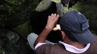 BOSQUE DE PIEDRAS DE SAN FRANCISCO