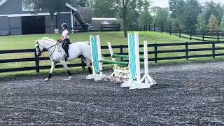 Flatwork video — Ava Gronczewski 2027 & Cheeky Monkey 2