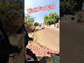 Dog Catcher In India Amazing 🤩#dog​ #amazing​ #india​ #streetdogrevival​ #ytviral​ #ytshorts​ #dogs​