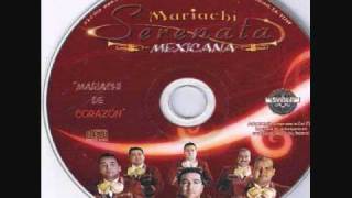 Video thumbnail of "Mariachi Serenata Mexicana - Can't Take My Eyes Off You"