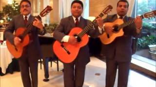 Trio Musical en CDMX y Edo de Mex- Los Selectos ( Lo voy a dividir ) chords