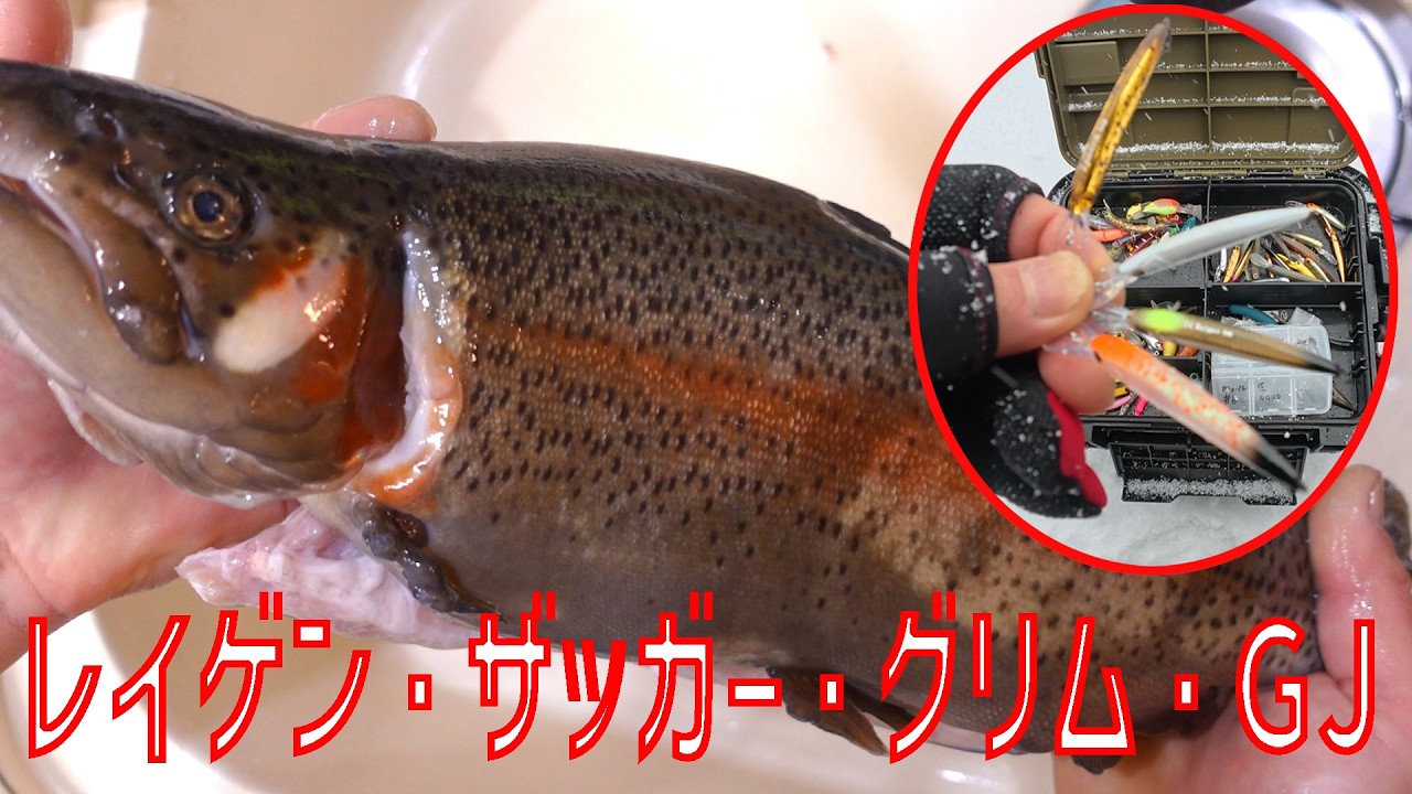 浮上系ミノーを使ったら激メタボ虹鱒がキタ！