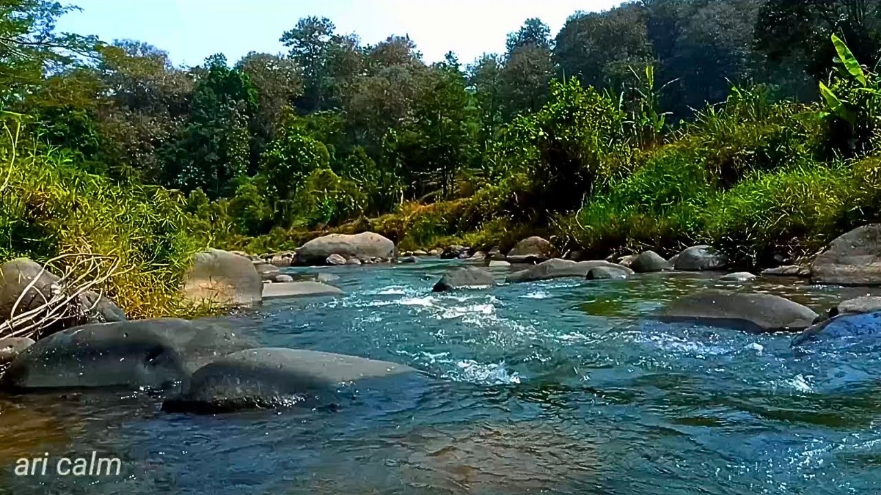 Relaxing River Flowing Gently Through Forest – Relaxing Water Sounds for Sleep & Inner Calm #36