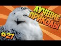 ЛУЧШИЕ ПРИКОЛЫ #27 СОВЫ ТАНЦУЮТ