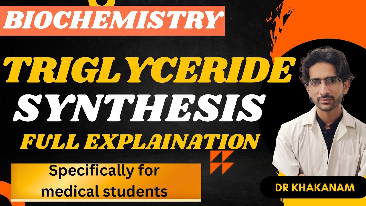 Triglyceride Synthesis |Metabolism | Complete explaination through structure | Easy biochemistry |