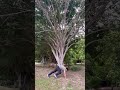 “Surya Namaskar | Sun Salutation in the Forest 🌳 |Morning Yoga | Peace &amp; Nature | Yoga with Sanjay”