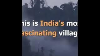 Lungwa