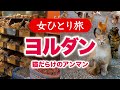 【女ひとり旅】ヨルダン・猫だらけのアンマン/観光・グルメ 2025.03【海外旅行】