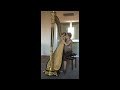 Une châtelaine en sa tour, Op.110 (Fauré, Gabriel) Harp - Gloria Denise Zurru