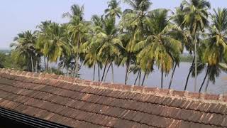 A Vossa Historia - Rita Liza Noronha