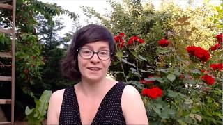 Picture dictionary question - Best practices for creating pop-up quizzes for videos EP 01