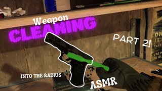 Gun Cleaning (Into the Radius)