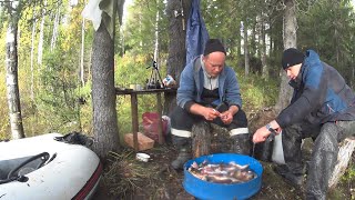 ПОЙМАЛИ КУЧУ РЫБЫ.ТАЕЖНЫЙ БЫТ В ГЛУХОЙ ТАЙГЕ.рыбалка на сети.заключительная  2 часть