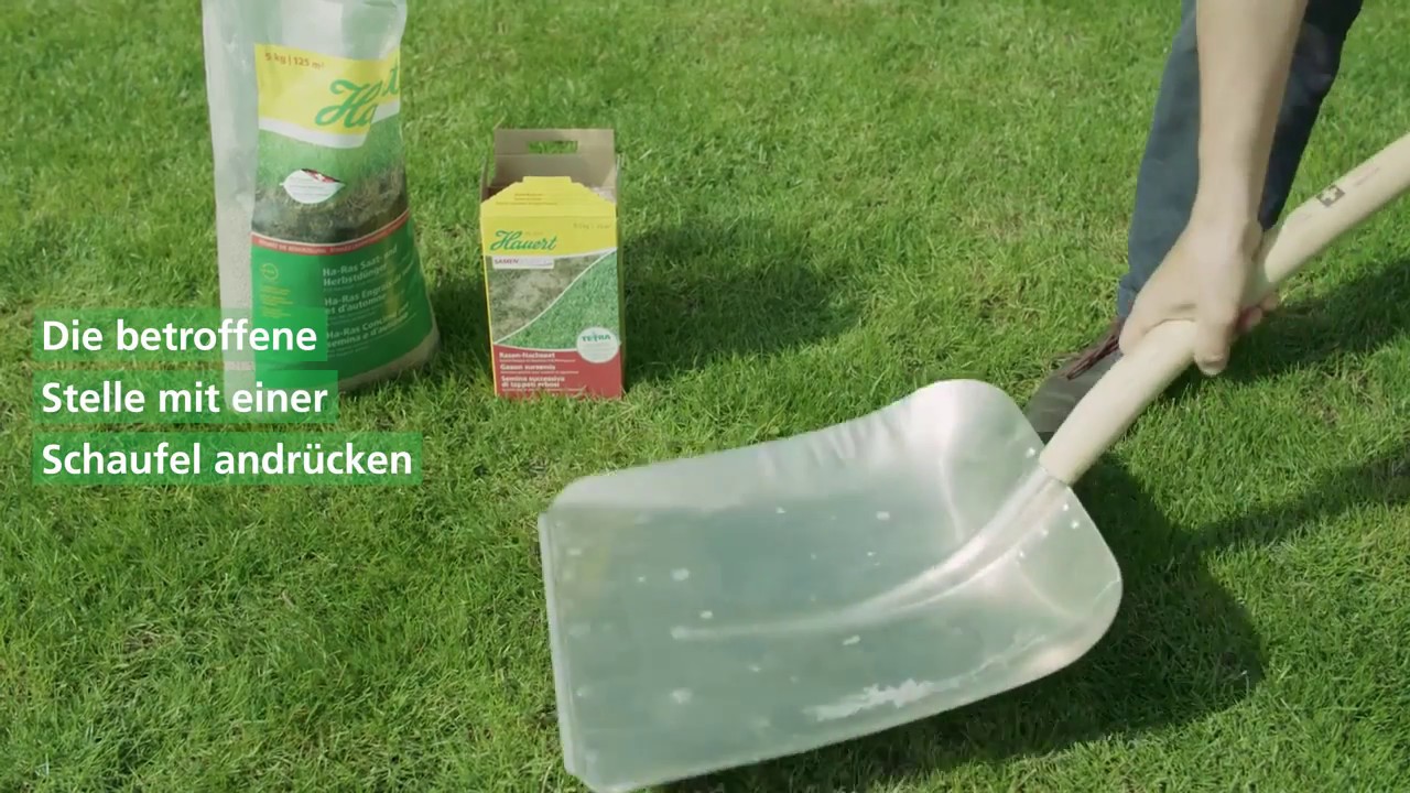 Seminte gazon pentru reparare, cu germinare rapida, Hauert