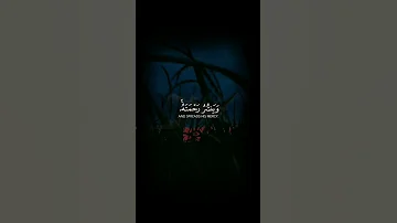 حالات واتس اب قران قصيرة ياسر الدوسري 
