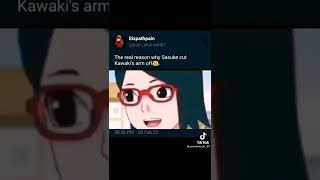 The Real Reason Why Sasuke Cut Kawakis Arm Off