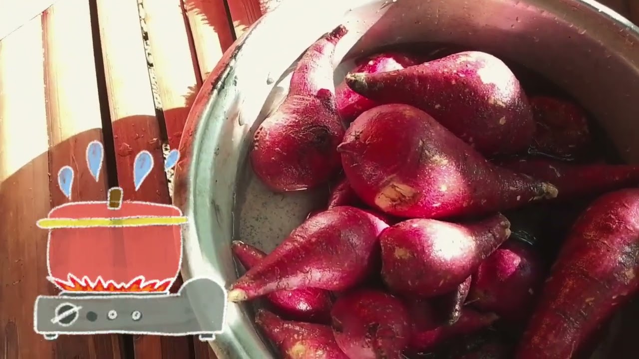 Sweet Potato 🥰#buhayprobinsya#cat#relaxingvibes 