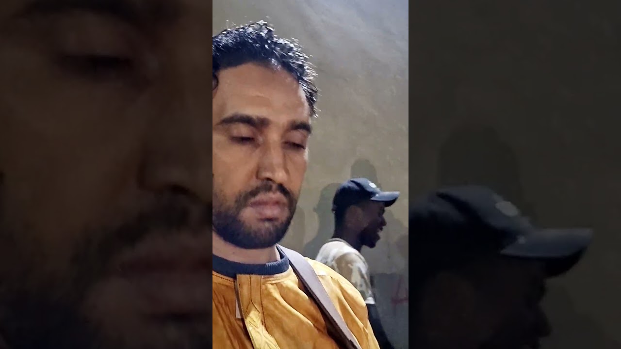 Dodo Tamanrasset 2023