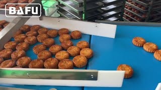 bread packaging machine,cake packaging machine,biscuit packaging machine,flow wrapper,flow-pack