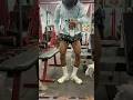 👹👹 #youtubeshorts #trending #short #virlshorts #explore #gymlife #legworkout