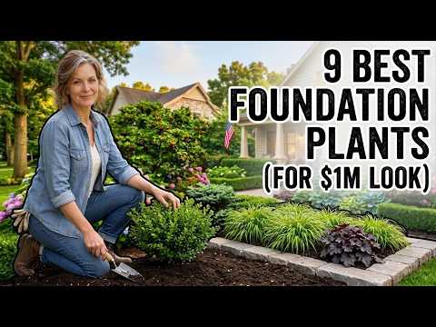 9 FOUNDATION PLANTS That Make Your Front Yard Look Like a MILLION BUCKS  ( Low Maintenance )