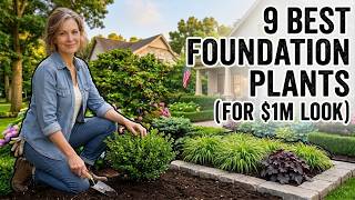 9 FOUNDATION PLANTS That Make Your Front Yard Look Like a MILLION BUCKS  ( Low Maintenance ) 10 Budget Perennials That Look Expensive Cheap Plants That Transform Your Garden