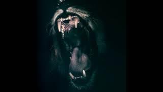 Lion Roar 1 Hour Sound. Wild Animal Sound