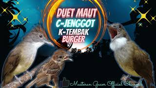 Duet Maut Gereja Tarung | Kapas Tembak | Cucak Jenggot - Masteran Murai Batu, Cendet, Kacer, Cak Ijo