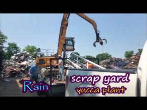 Rain Scrap Yard yucca plant and prickly pear cacti