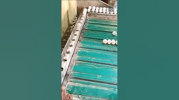 Egg grading machines #shorts #interesting
