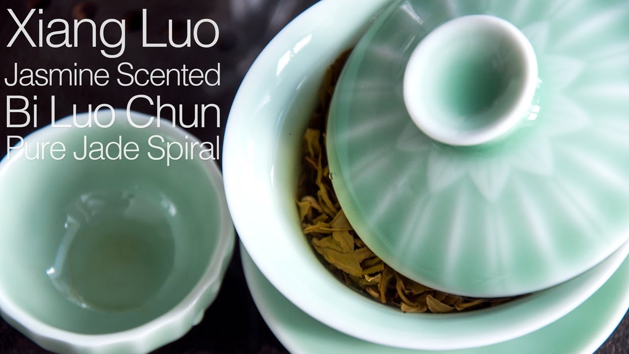 Jasmine Scented TeaSteep Xiang LuoXiang Bi Luo(Pure Jade Spiral) Jasmine Flower Tea YouTube