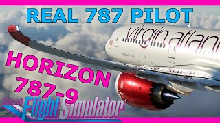 Real 787 Pilot Reviews the Horizon 787-9! screenshot 4