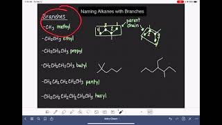 8: Naming alkanes with branches
