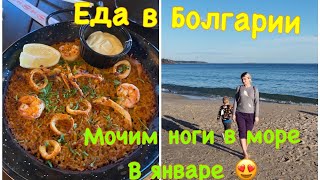 Еда в Болгарии / Все купаются в январе в море/ Аренда машины в Варне/ Я осмелилась зайти в море