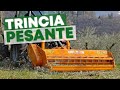 Ho TRINCIATO tutte le RAMAGLIE all'uliveto