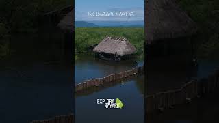 Esteros en Rosamorada Nayarit. Paraíso natural que debes visitar