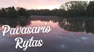 Pavasario rytas