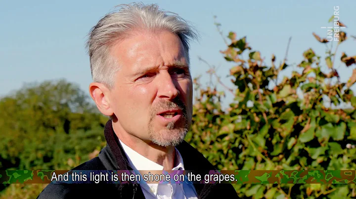 Hans Zappe - Smart vineyard