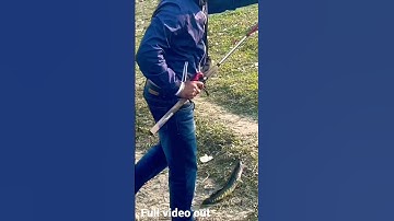 Full video released, check out the playlist, snakehead fishing tips, #newtrend #snakeheadfishing