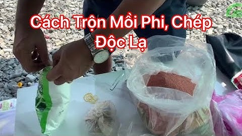 Cách Phối Hợp Cám 4 Loại Với Đông Lạnh Khô GW Độc Lạ