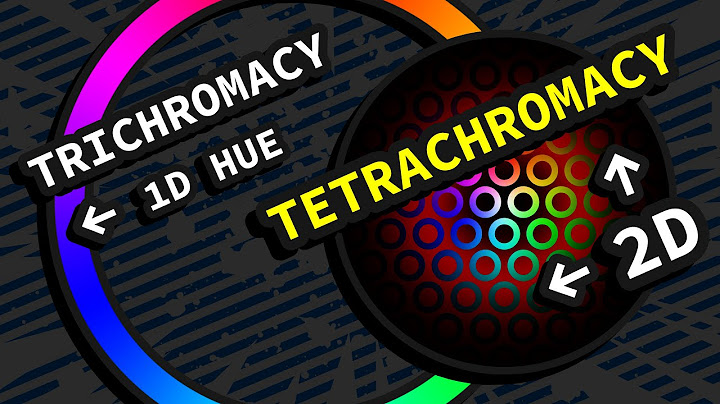 You’re Probably Wrong About Tetrachromatic Rainbows (VR)