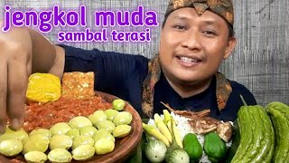 LALAP JENGKOL MUDA MENTAH SAMBAL TERASI IKAN ASIN PEDA PARE MENTAH ||MUKBANG MAKANAN KHAS SUNDA