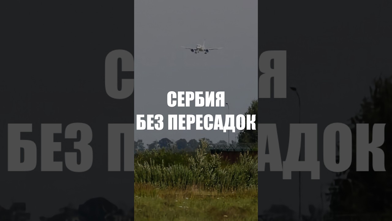 Сербским авиакомпаниям разрешили запустить рейсы в Калининград