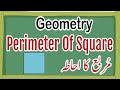 Geometry  perimeter of square  math class 5  unit 9  math for elementary classes charagh e ilm